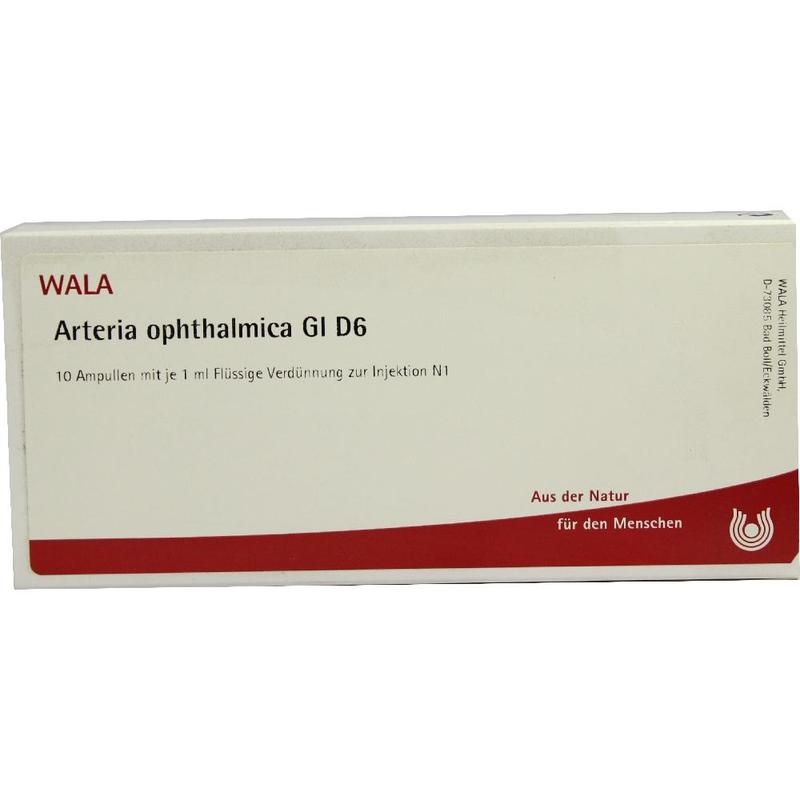 ARTERIA OPHTHALMICA GL D 6 Ampullen