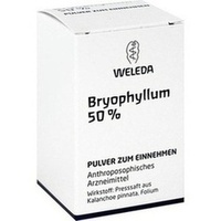 BRYOPHYLLUM 50% Pulver zum Einnehmen