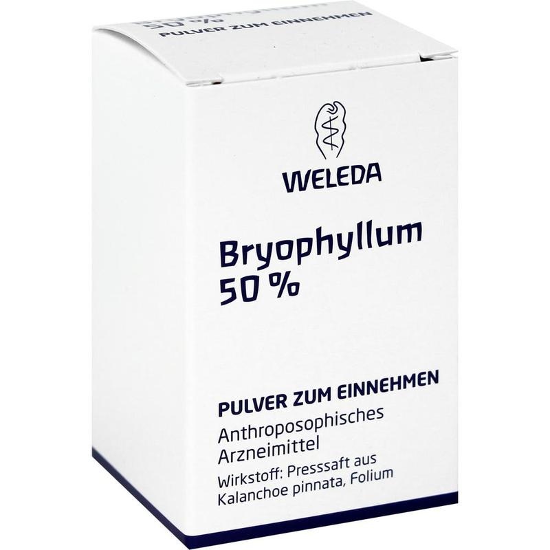 BRYOPHYLLUM 50% Pulver zum Einnehmen