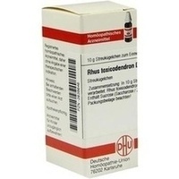 RHUS TOXICODENDRON D 10 Globuli