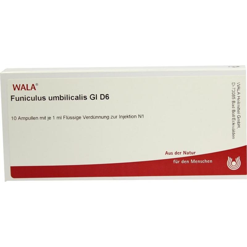 FUNICULUS UMBILICALIS GL D 6 Ampullen