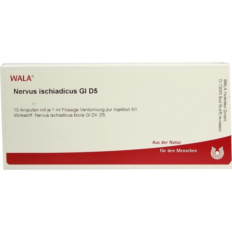 NERVUS ISCHIADICUS GL D 5 Ampullen