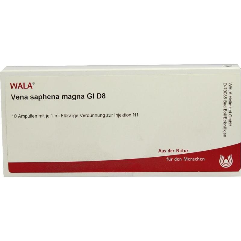 VENA SAPHENA magna GL D 8 Ampullen