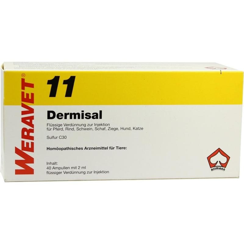 DERMISAL 11 Ampullen vet.
