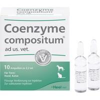 COENZYME COMPOSITUM ad us.vet.Ampullen