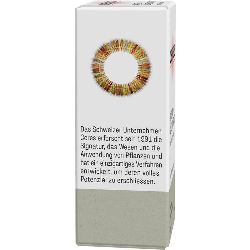 CERES Weidenröschen Epilobium parviflorum Extr.Tro